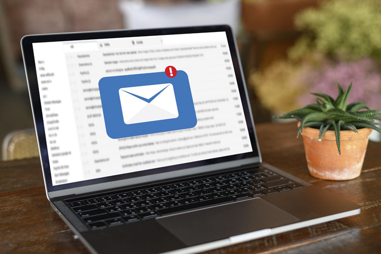 4. Mi correo y accesos 